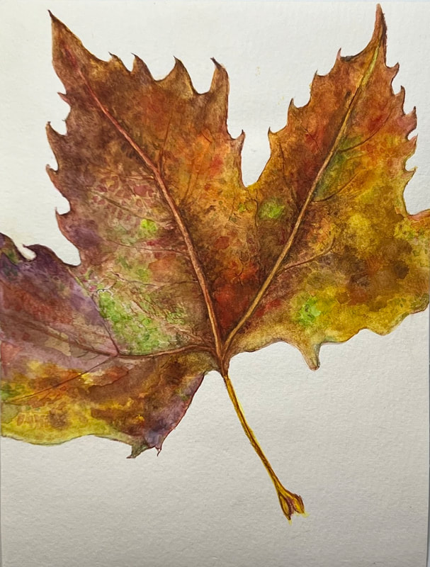 Image of "Maple Leaf" Watercolor Painting by Beth Plotnick
