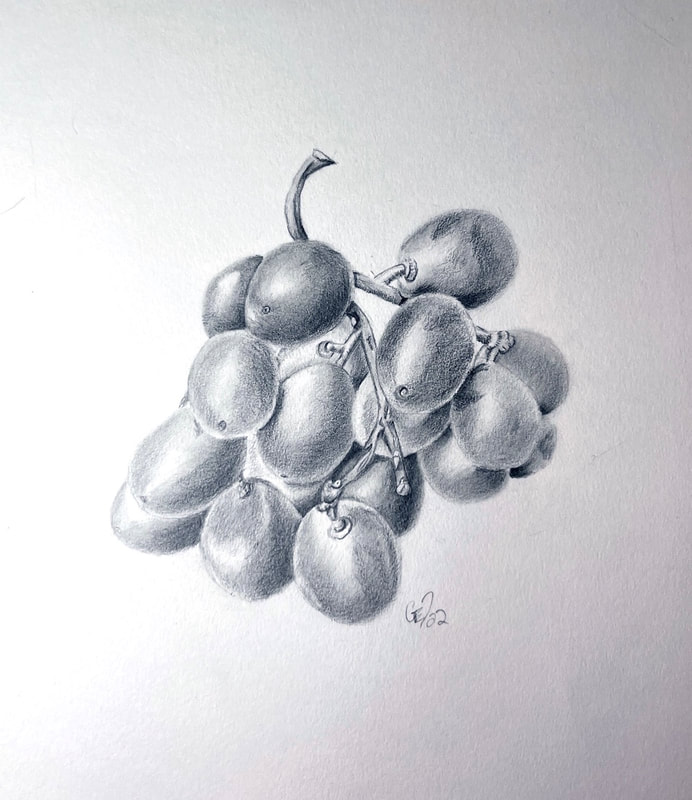 Image of "Grape" Graphite Drawing by Gail Dentler