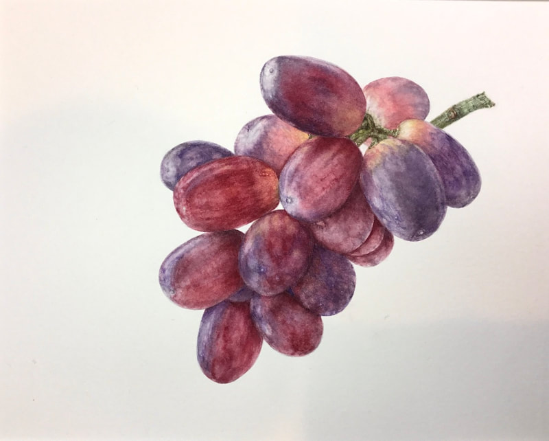 Image of "Grapes" Watercolor Painting by Judy Woznyj