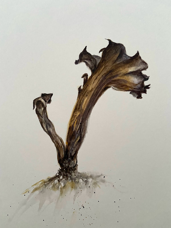 Image of "Chanterelle" Watercolor Painting by Linda Schmitt