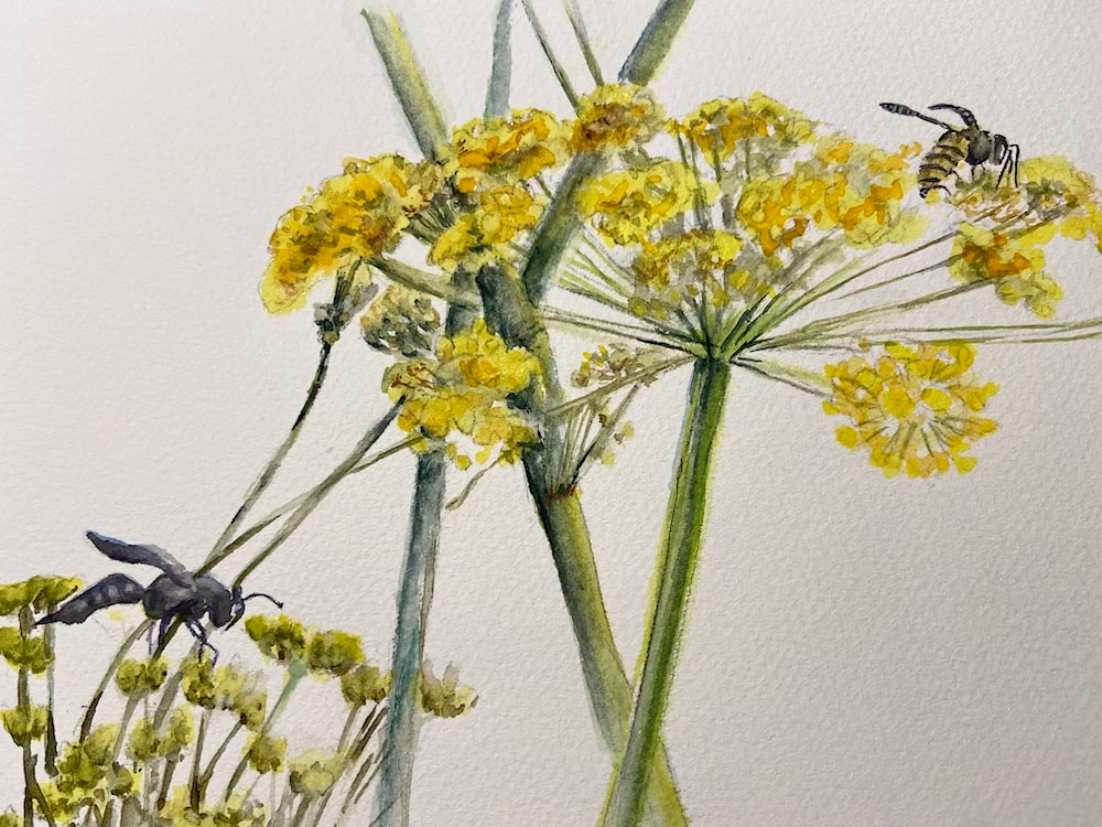 Image of "Fennel with Yellow Jacket and Black Wasp" Watercolor Painting by Linda Schmitt