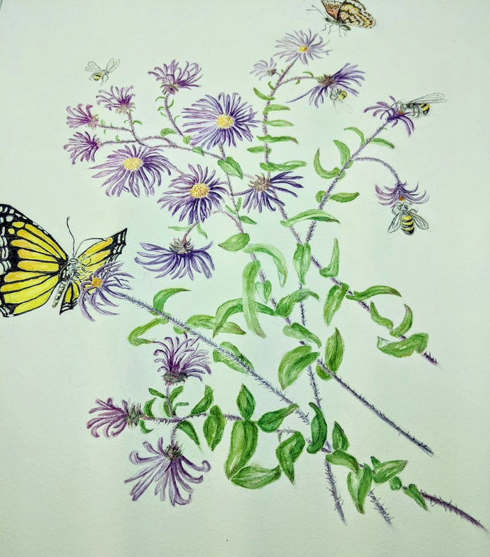 Image of "Asters with the Addition of Pollinators" by Marcia Glenn
