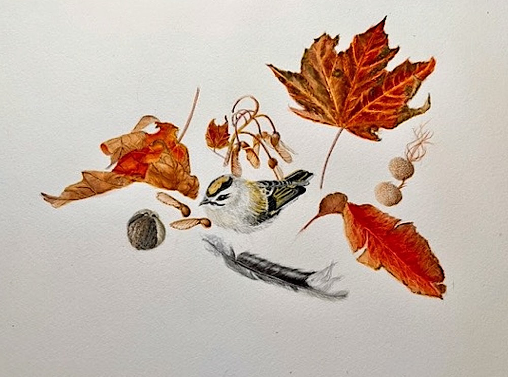 Image of "Autumn Bits" Watercolor Painting by Meredith Lincoln