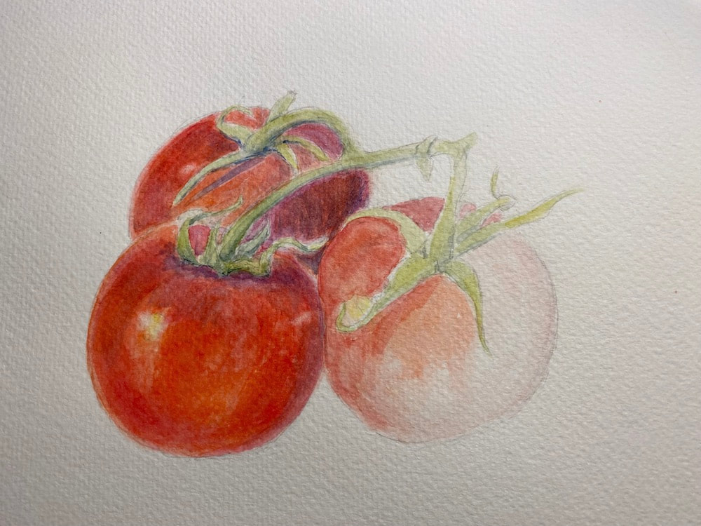 Image of "Tomato in Progress" Watercolor Painting by Nancy Johnson