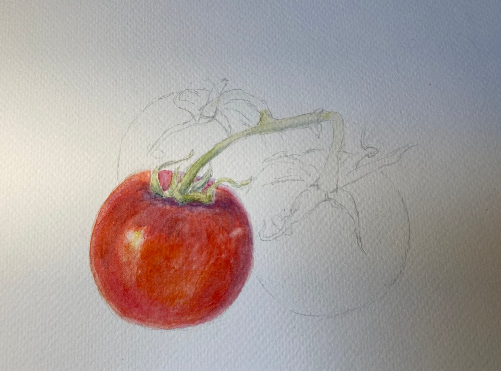 Image of "Tomato Study" Watercolor Painting by Nancy Johnson