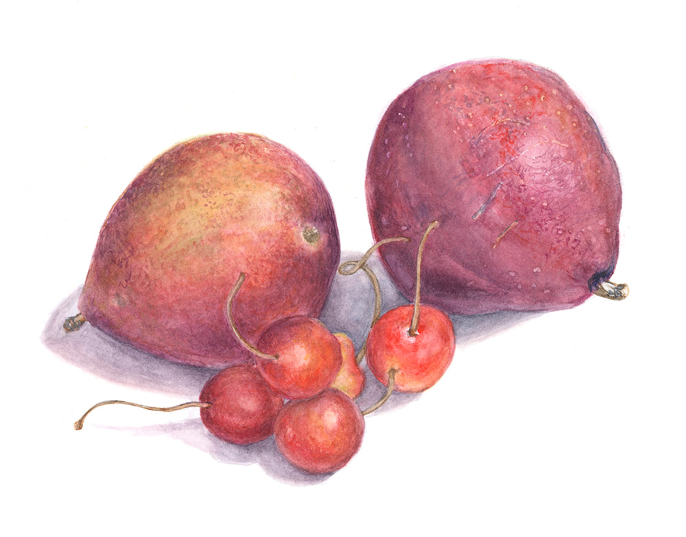 Image of "Pears and Cherries" by Susie Williams 